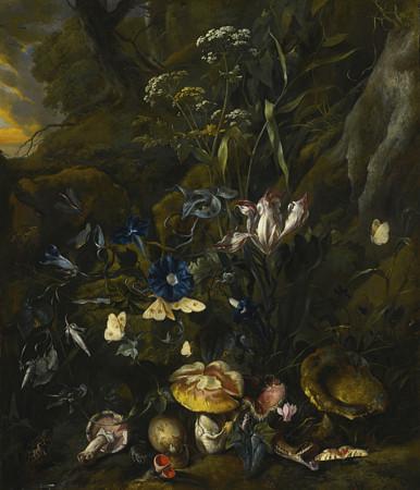 Dark Forest Floor. Antique Dutch Painting by Otto Marseus van Schrieck. Fine Art Print