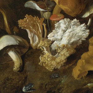 Mushrooms and Fungi. Antique still life painting. Fine art print