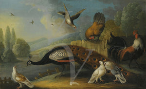 Peacock, Birds and Chicken in a Landscape. 17th century painting. Fine art print