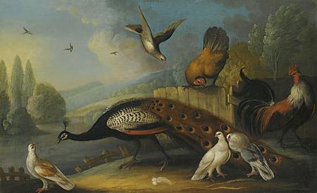 Peacock and Birds in a Landscape. 17th century painting. Fine art print