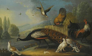 Peacock and Birds in a Landscape. 17th century painting. Fine art print