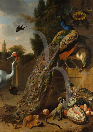 Peacocks and birds in a Classical garden. Antique painting-Fine art print