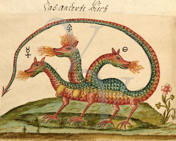 Three-Headed Dragon. Alchemy Illustration Clavis Artis- Opium of the Poets