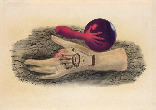 The Hand by Jindřich Štyrský. Surreal painting