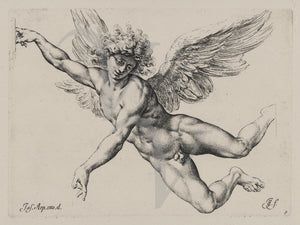 Angel etching. Winged male. Icarus. Fine art print