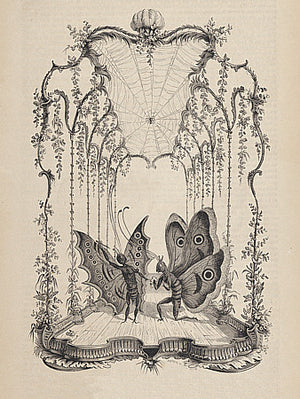 Performing Butterflies antique French engraving. Fine art print