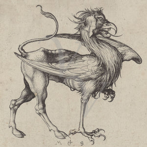 Griffin. Medieval German engraving. Fine art print