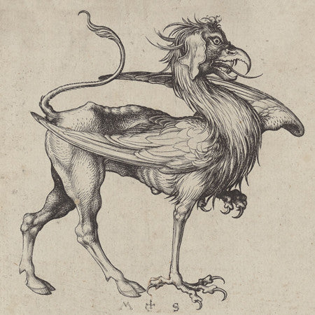 Griffin from a Medieval German engraving. Fine art print