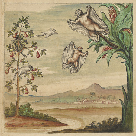 Flying Cats from Burma. Antique curios. Fine Art Print 