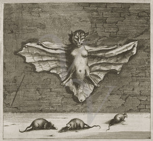Antique curiosity of a flying cat with breasts and bat wings. Fine art print