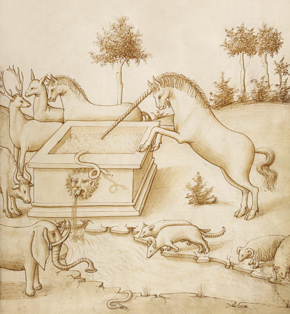 Mythical scene with a unicorn and various animals. Antique illustration. Fine art print 