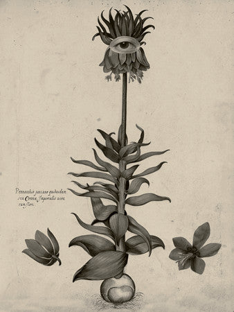 Talisman. Strange plant with eye original Surreal collage. Fine art print 