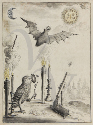Owl, bat and Mole. Magical alchemy illustration. Occult art print