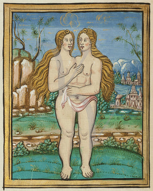 Two-headed woman painting from Histoires Prodigieuses by Pierre Boaistuau. Fine art print 