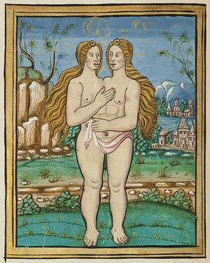 Two-headed woman painting from Histoires Prodigieuses by Pierre Boaistuau. Fine art print 