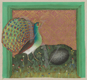 Painting of a peacock and a hedgehog from a Medieval manuscript of animal fables, Fine art print