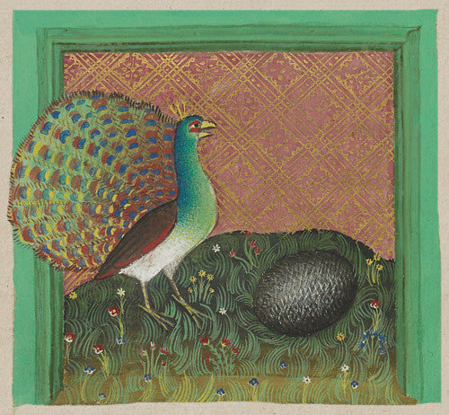 Painting of a peacock and a hedgehog from a Medieval manuscript of animal fables, Fine art print