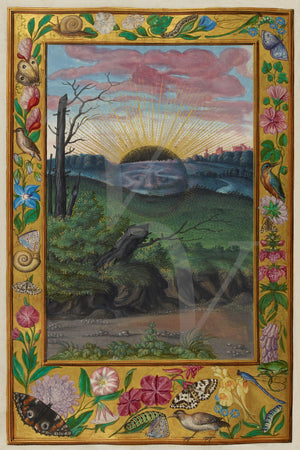 The Dark Sun. Alchemy painting from Spendor Solis manuscript