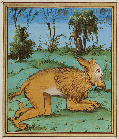 Werewolf man, from Histoires Prodigieuses by Pierre Boaistuau