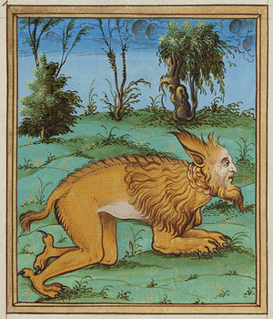 Werewolf man, from Histoires Prodigieuses by Pierre Boaistuau