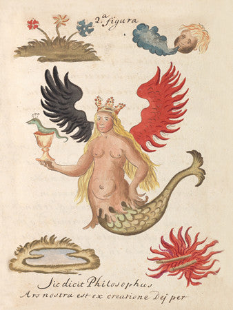 Watercolour drawing from French alchemical manuscript  'Solidonius Philosophus'. Fine art print