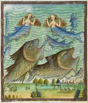Medieval Mermaid, Fish and Sea Monsters 