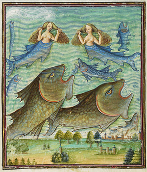 Medieval Mermaids, Fish and Sea Monsters 