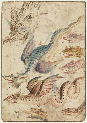 Antique dragon painting. Mythological creatures. 