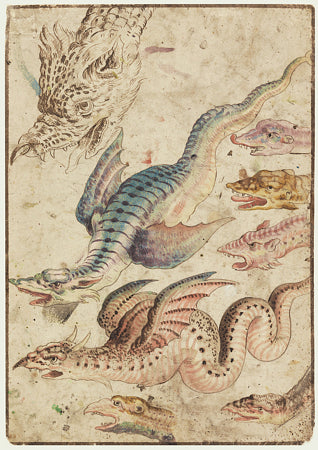 Studies of Dragons. Antique watercolour painting
