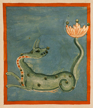 Medieval painting of the Cetus (Sea Monster) constellation. Astronomy and astrology. 