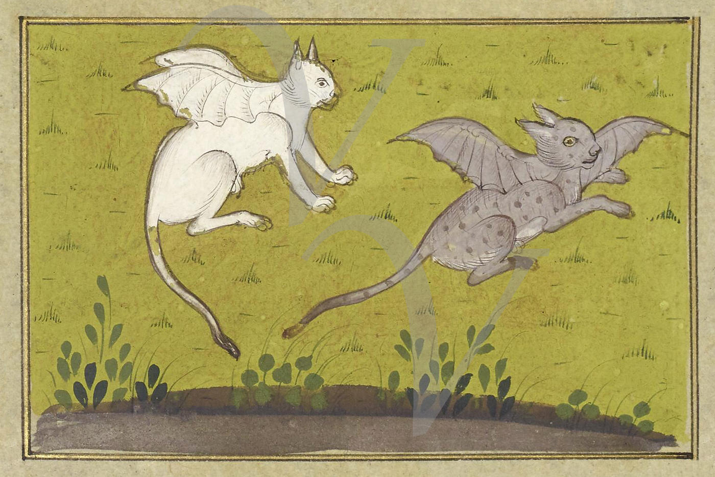 Winged Rabbit Myth Winged Cats In Mythology