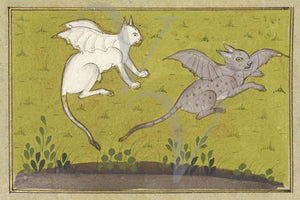 Persian flying cats. Persian bestiary painting. Mythical creatures. 