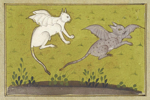 Persian flying cats painting from The Marvels of Creatures and Strange Things Existing. Cosmological manuscript art.