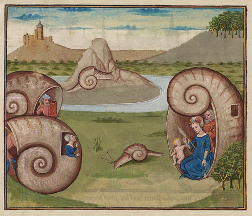 Medieval Snail Houses. Fantastical painting