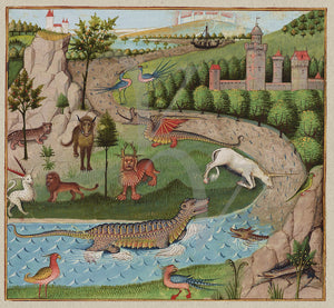 Medieval bestiary painting, including a dragon, and unicorns