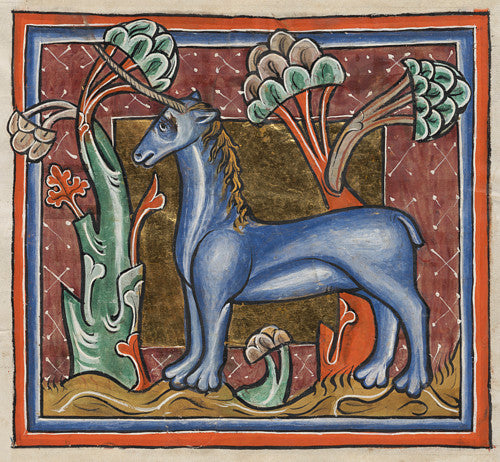 Manuscript painting of a unicorn from an English Medieval bestiary
