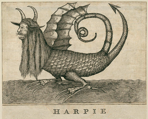 French engraving of a mythical Harpy