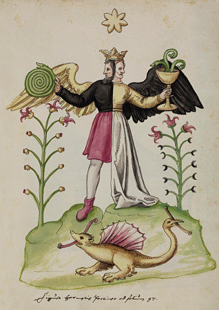 The Rebis an Alchemical Hermaphrodite . The Philosopher's Stone