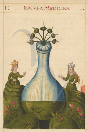 Natura Medicinae. Painting from an antique Alchemy manuscript