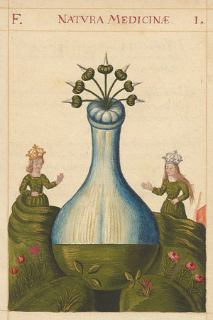 Natura Medicinae. Painting from an antique Alchemy manuscript