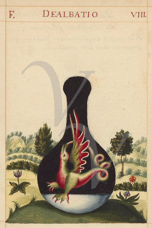 Dealbatio. Painting from an Alchemical manuscript