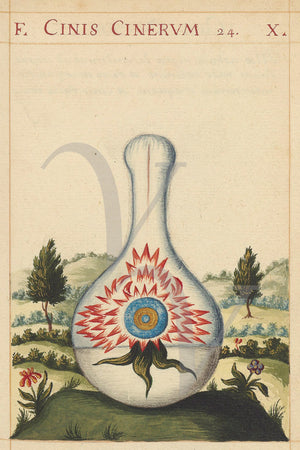 Cinis Cinerum (Ashes to Ashes). Painting from an Alchemical manuscript