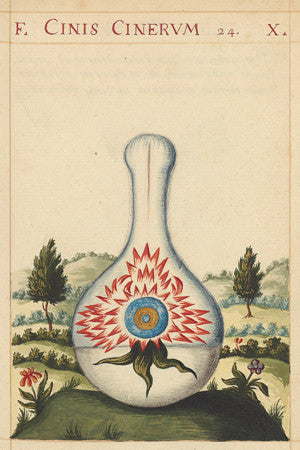 Cinis Cinerum (Ashes to Ashes). Alchemy painting