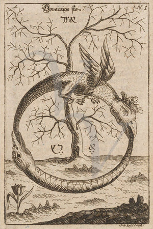 Union of the dragon and serpent in alchemy. The Philospher's Stone