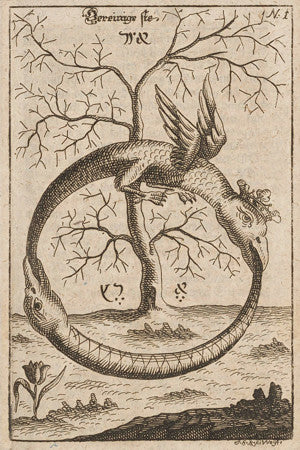 Alchemical Serpent and Dragon ilustration