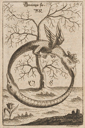 Alchemical Serpent And Dragon Illustration - Opium Of The Poets