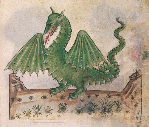 Medieval green dragon painting