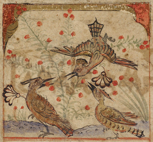 Persian painting of three Hoopoe birds