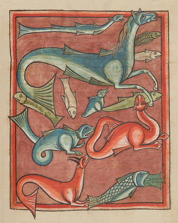 Medieval sea creatures illustration 