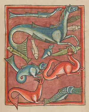 Medieval sea creatures illustration 
